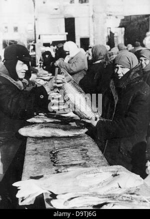 Propagandatext auf der Rückseite des Bildes für den Bericht des Nationalsozialisten: "Über den Fischmarkt in Rostow. Das Leben nimmt nach der Einführung der deutschen Militärregierung wieder seinen normalen Lauf. Fisch wird wieder auf dem Fischmarkt verkauft." Motiv von der Ostfront/Russland vom 5. Januar 1943. Fotoarchiv für Zeitgeschichte Stockfoto