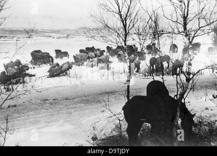 Die Nazi-Propaganda! Auf der Rückseite des Bildes steht: "Bivouac im Polarwintern. Infanterie-Männer ziehen in ein Bivouac neben der Straße, während sie von der Front Lapplands nach Nordnorwegen marschieren. Männer und Tiere entspannen sich und erholen sich wieder." Bild von der Ostfront, 27. Dezember 1944. Der Angriff des Deutschen Reiches auf die Sowjetunion wurde im Juli 1940 beschlossen und seit Dezember 1940 als "Operation Barbarossa" vorbereitet. Am 22. Juni 1941 begann die Invasion der deutschen Wehrmacht. Fotoarchiv für Zeitgeschichte Stockfoto