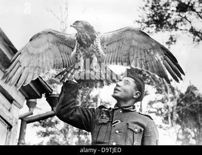 Der NS-Propaganda! auf der Rückseite des Bildes liest: "der geflügelten Begleiter des Unternehmens. Das Osprey ist der geflügelten Begleiter eines Unternehmens seit der Kampfhandlungen am Dnepr. Wartung technischer Sergeant fing es als es im Wald am Dnjepr jung war. Es ist gezähmt, jetzt, und genießt, verwöhnt durch das gesamte Unternehmen. Es entfielen sogar in die Zubehör-Liste. " Bild von der Ostfront, 12. Dezember 1941. Der Angriff auf die Sowjetunion vom Deutschen Reich als im Juli 1940 vereinbart und im Dezember 1940 als "Operation Barbarossa" vorbereitet. Am 22. Juni 1941 die Stockfoto