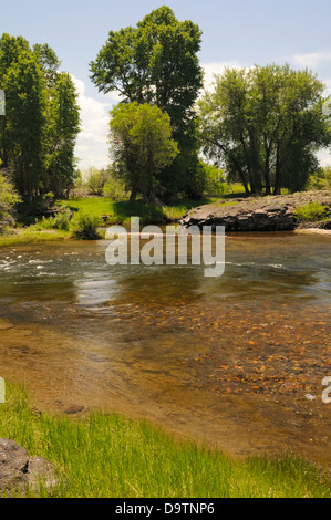 Fluss führt vorbei an grünen grünen Flussufer. Stockfoto