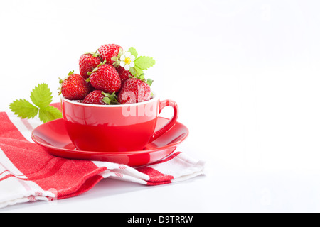 Erdbeeren in rote Tasse auf weißem Hintergrund Stockfoto