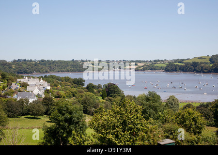 The River Dart, Dittisham, Devon, England, Großbritannien Stockfoto