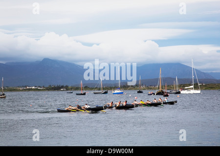 Regatten im Hafen von Roundstone Regatta; Roundstone County Galway, Irland Stockfoto