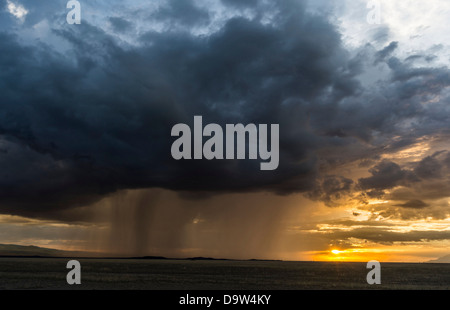 Sturm über den nahe gelegenen Hängen des Kilimanjaro. Amboseli Nationalpark, Kenia, Afrika. Stockfoto