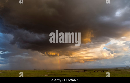 Sturm über den nahe gelegenen Hängen des Kilimanjaro. Amboseli Nationalpark, Kenia, Afrika. Stockfoto