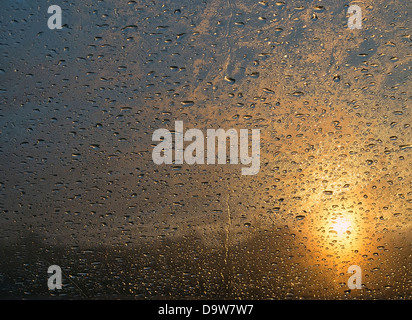 Tropfen Wasser auf das Glas in der Morgendämmerung Stockfoto