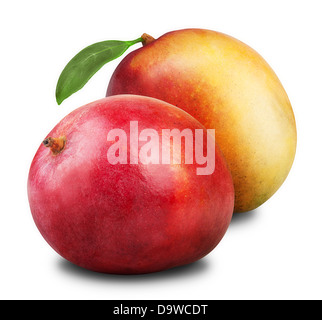 Mango-Frucht isoliert auf weißem Hintergrund Stockfoto