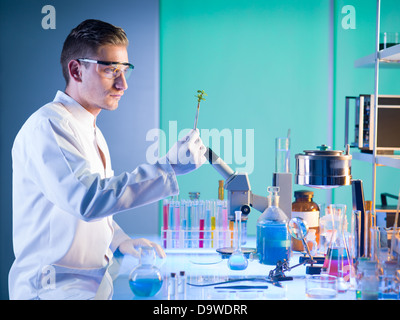 Seitenansicht des männlichen Wissenschaftler sitzen an einem Tisch in einem Labor hält eine Pflanze mit einer Pinzette analysieren Stockfoto