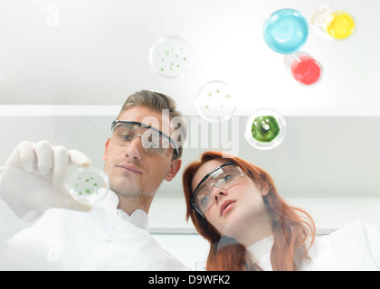 Vorderansicht des kaukasischen Wissenschaftler beobachten Petrischale in einem Labor Stockfoto