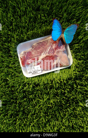 Fleisch-Paket Stockfoto