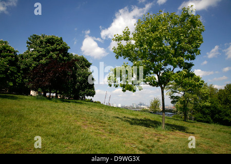 Fernsicht auf die zentralen London Skyline von der Spitze des Greenwich Park, Greenwich, London, UK Stockfoto