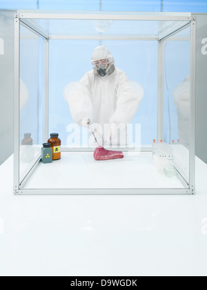 Wissenschaftler trägt einen Schutzanzug und Gasmaske experimentieren auf ein Stück rohes Fleisch in einer sterilen Kammer Stockfoto