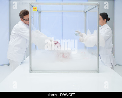 zwei Wissenschaftler im Labor, ein Mann und eine Frau, experimentieren mit flüssigem Stickstoff in einer sterilen Kammer Stockfoto