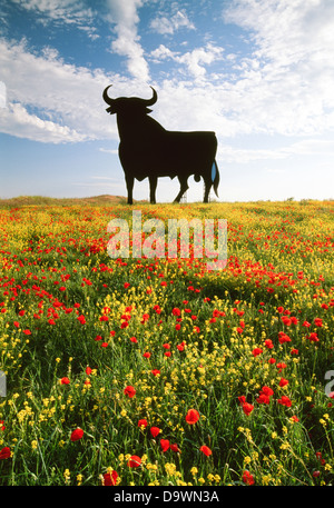 Riesige Ausschnitt eines spanischen Stiers auf einem Hügel in Andalusien, Spanien Stockfoto
