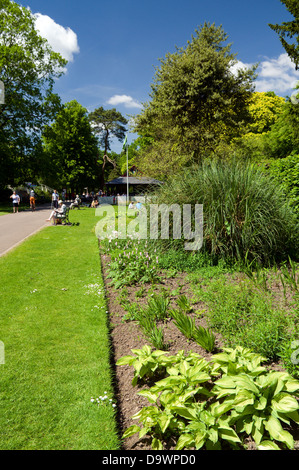 krautige Grenze, Bute Park, Cardiff, Wales. Stockfoto