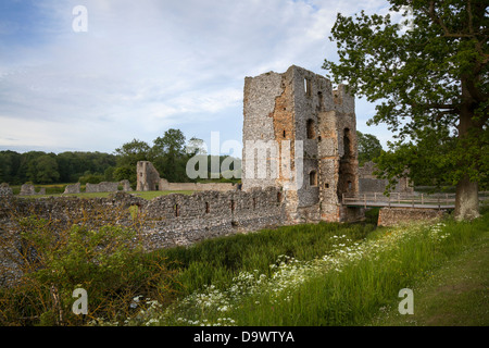 Baconsthorpe Castle, Baconsthorpe Hall, ruiniertes, befestigtes Herrenhaus ein mit Wassergraben und befestigtes ruiniertes Gebäude aus dem 15th. Jahrhundert in Sheringham, Norfolk, Großbritannien Stockfoto