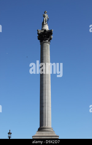 Nelsonsäule in Trafalgar Square in London, UK Stockfoto