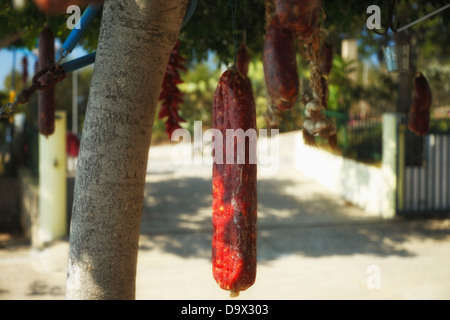 Kalabrische Salami im Garten Stockfoto