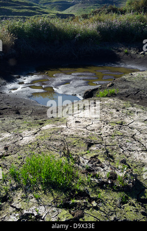 Ausgetrocknete Teiche am Erjos auf Teneriffa, Kanarische Inseln, Spanien Stockfoto