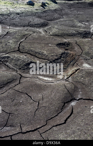 Ausgetrocknete Teiche am Erjos auf Teneriffa, Kanarische Inseln, Spanien Stockfoto