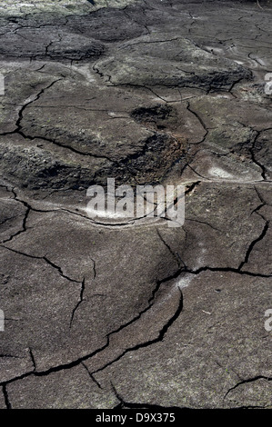 Ausgetrocknete Teiche am Erjos auf Teneriffa, Kanarische Inseln, Spanien Stockfoto