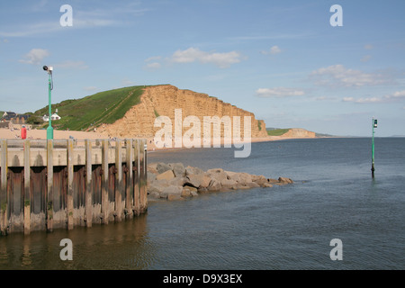 Erde Cliff West Bay Bridport Dorset England UK Stockfoto