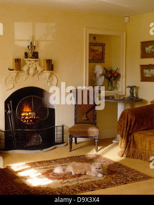 Katze auf Teppich mit brennenden Feuer und ungewöhnliche Kaminsimsregal im Wohnzimmer Kamin mit antiken Stuhl vor Alkoven Stockfoto