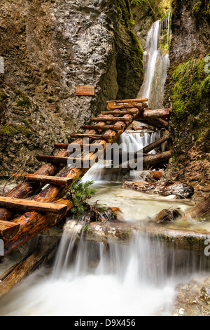 Gebirgsbach mit Leiter im canyon Stockfoto