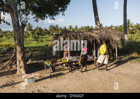 Afrika, Mosambik, Inhambane. Am Straßenrand Gemüsemarkt. Stockfoto