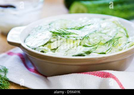 Gurke mit Sellerie und Dill Salat in Joghurtdressing Stockfoto