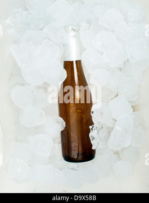 Flasche Bier und Eiswürfeln Stockfoto