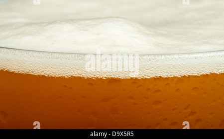 Becher Bier nahe Hintergrund. Studio gedreht Stockfoto