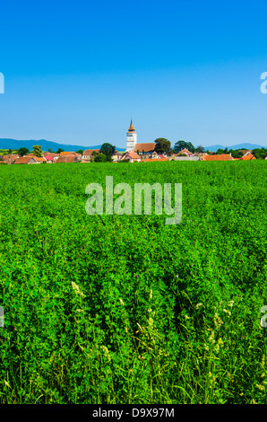 Rotbav, Brasov: Wunderschönes grün Ansicht in einem Siebenbürgischen Dorf, mit der befestigten Kirche im Hintergrund.