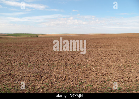 Gesamtansicht über ein Feld, eine WW1 Frontlinie Bereich neben Ovillers Militärfriedhof, Albert, Somme Picardie, Frankreich. Stockfoto