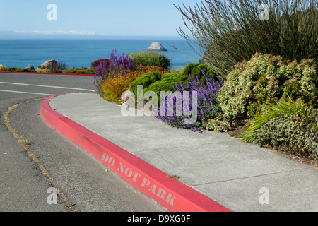 Roten Bordstein ohne Parkplatz Zeichen, Feuer Lane. Stockfoto