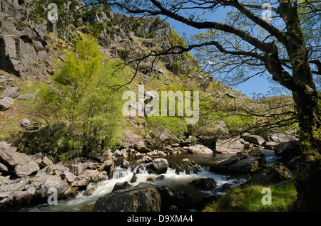 Wasserfälle am Fluss Tywi, RSPB Dinas, Llandovery, zentrale Wales Stockfoto