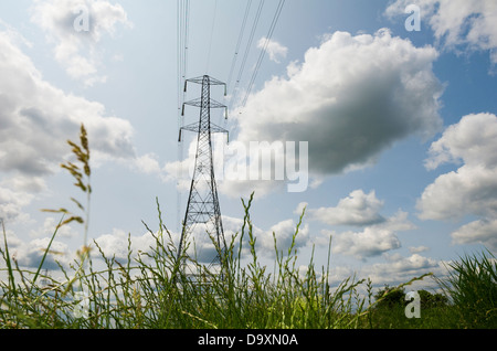 Übertragung Strommasten in South Essex. Stockfoto