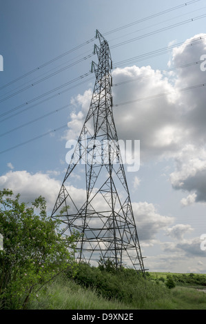 Übertragung Strommasten in South Essex. Stockfoto