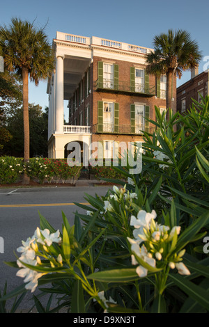 Stattlichen antebellum historischen Häusern entlang der hohen Batterie in Charleston, SC. Stockfoto