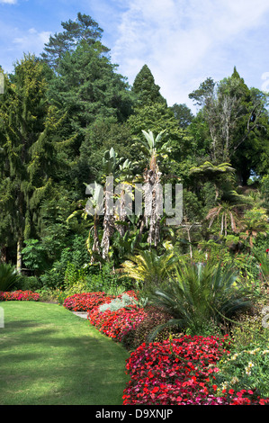 dh Pukekura Park NEW PLYMOUTH NEW ZEALAND Botanic Gardens Blumen und Baum Parkland Blumengarten Stockfoto