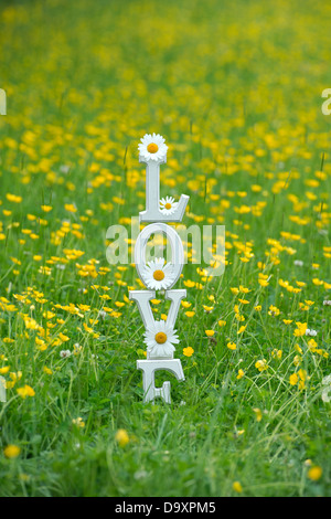 LIEBE. Holzbuchstaben mit Tigerstatuen und Butterblumen blockieren Stockfoto