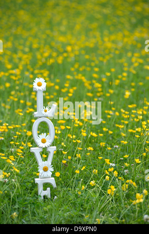 LIEBE. Holzbuchstaben mit Tigerstatuen und Butterblumen blockieren Stockfoto