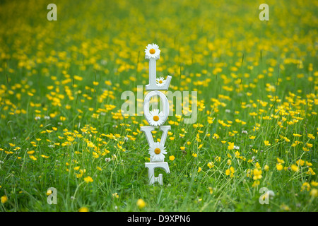 LIEBE. Holzbuchstaben mit Tigerstatuen und Butterblumen blockieren Stockfoto