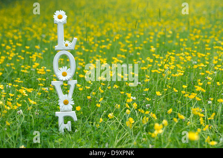 LIEBE. Holzbuchstaben mit Tigerstatuen und Butterblumen blockieren Stockfoto