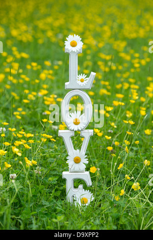 LIEBE. Holzbuchstaben mit Tigerstatuen und Butterblumen blockieren Stockfoto