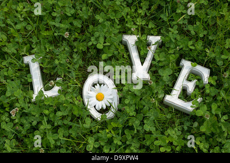 LIEBE. Holzbuchstaben mit Tigerstatuen und Klee zu blockieren Stockfoto