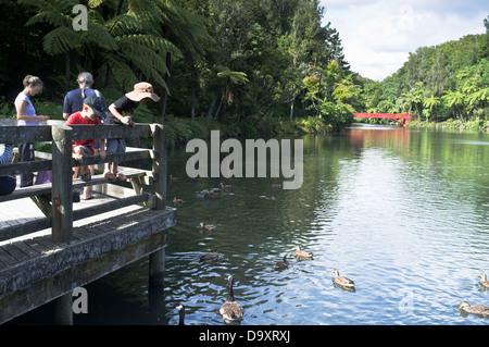 Dh Pukekura Park NEW PLYMOUTH NEUSEELAND Jungen Fütterung Enten im See Kinder Kinder Stockfoto