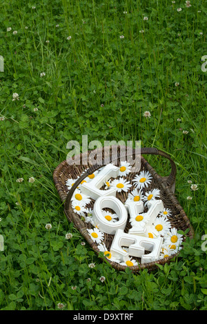 LIEBE. Holzbuchstaben mit Todesurteil in einem Weidenkorb zu blockieren Stockfoto