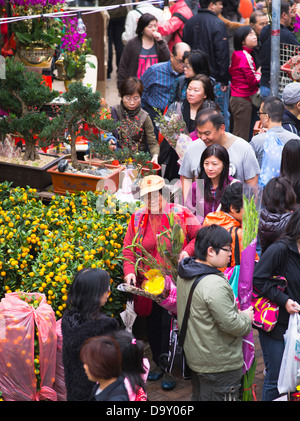 dh Blumenmarkt MONG KOK HONGKONG Menschen drängen sich auf dem Straßenmarkt Chinesische Neujahrsblumen überfüllte Szene geschäftige Menschenmengen mongkok Stockfoto