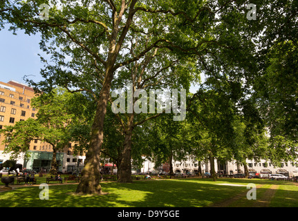 Berkeley Square, Mayfair, London Stockfoto